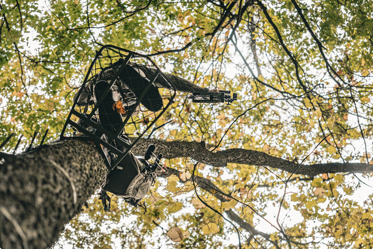 Hunter in a tree stand